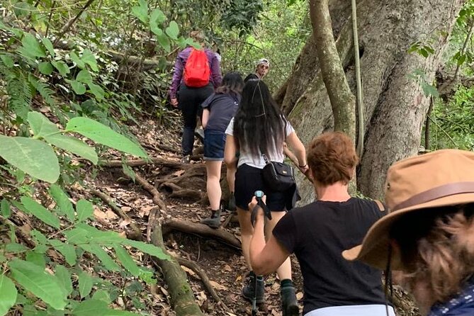 Private Canoeing, Cycling, Coffee and Hiking Tour in lake Duluti. - Walking Through Lake Duluti Forest