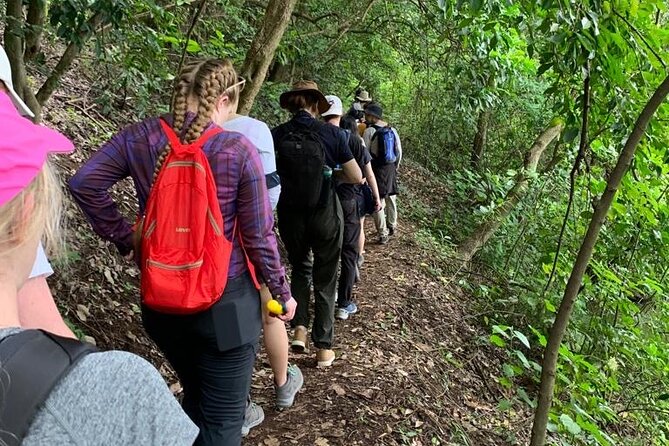Private Canoeing, Cycling, Coffee and Hiking Tour in lake Duluti. - My Take on the Lake Duluti Experience