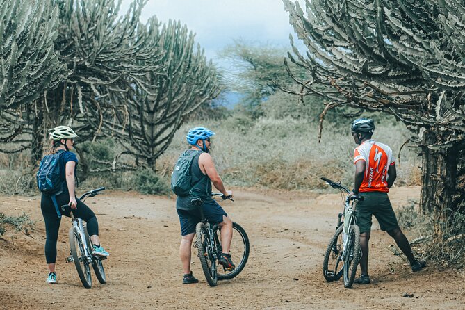 Private Cycle to Kilimanjaro Bike Park Safari - Key points to know before you book