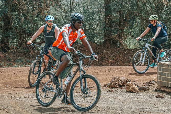 Private Cycle to Kilimanjaro Bike Park Safari - From Moshi to the Tingatinga plains