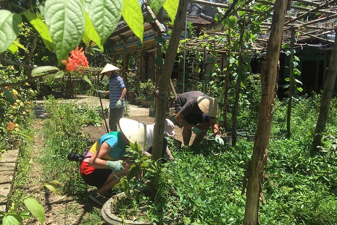 Private Cycling Tour in Rural Hue with Farming Experience - Thanh Toan Museum and the meaning of rice