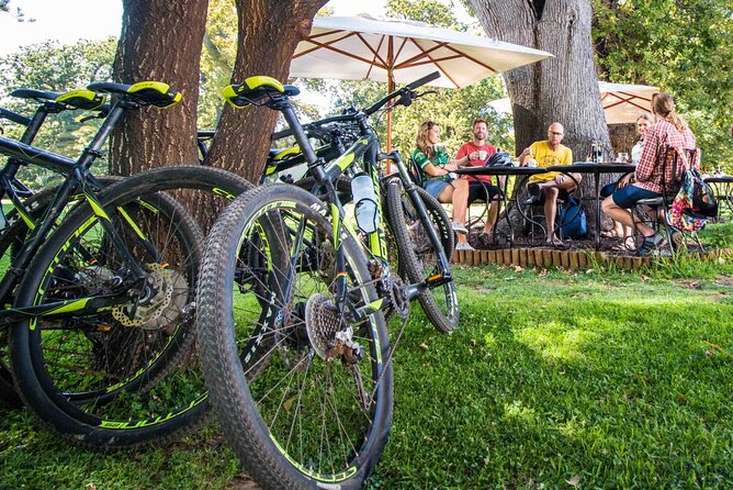 Private Cycling Tour of Constantia Winelands - Winery stops bring variety to the ride