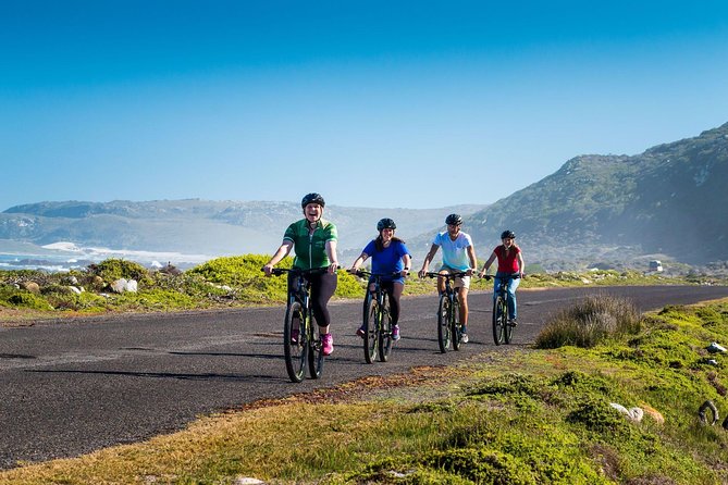 Private Cycling Tour of The Cape Peninsula from Cape Town - Boulders Beach adds a coastal pause