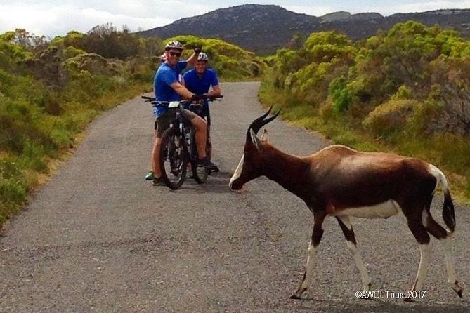 Private Cycling Tour to Cape Point from Cape Town - Chapman’s Peak: the ride that earns its place