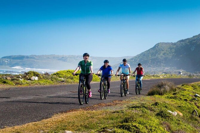 Private Cycling Tour to Cape Point from Cape Town - Starting at 8:00 a.m. with bikes ready