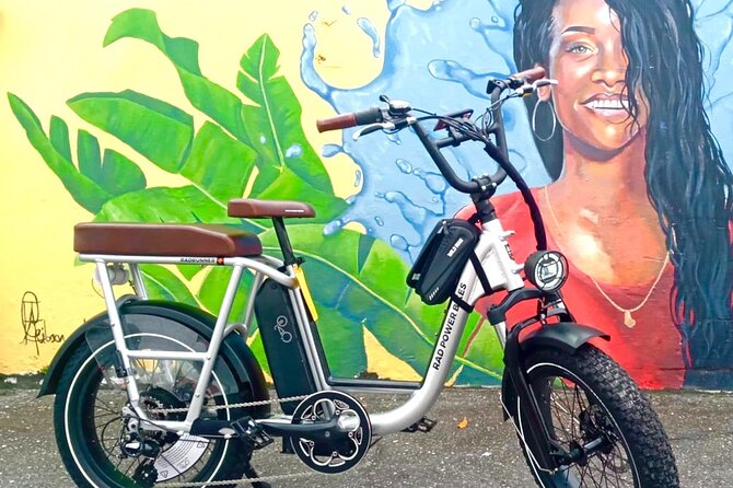 Private E-bike Adventure Tours of Barbados - Blackwoods Screwdocks and the waterfront story