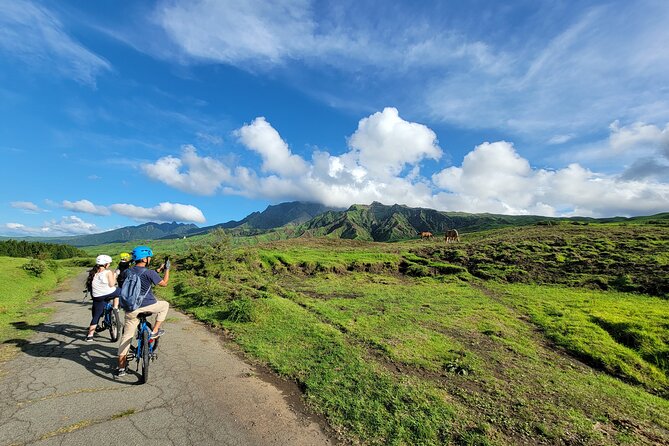 Private E-MTB guided cycling around Mt. Aso volcano & grasslands - Key points before you book
