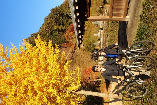 Private-group Morning Cycling Tour in Hida-Furukawa - Why the morning departure matters