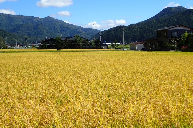 Private-group Morning Cycling Tour in Hida-Furukawa - Weather flexibility and the value of a private booking