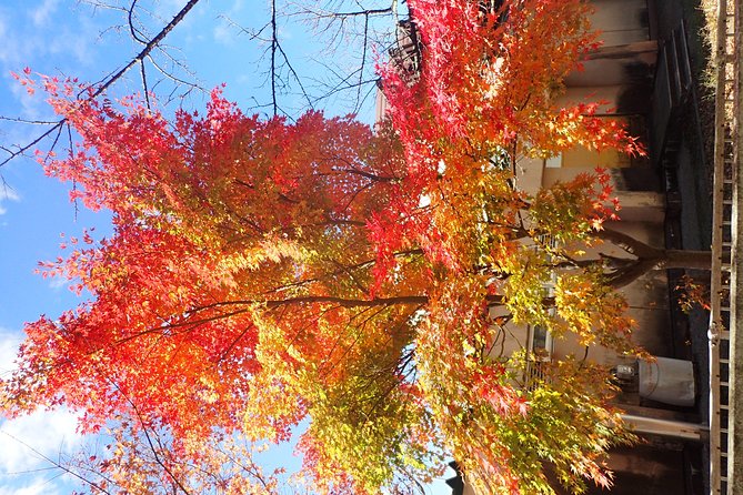 Private-group Morning Cycling Tour in Hida-Furukawa - Who should book this Hida cycling tour