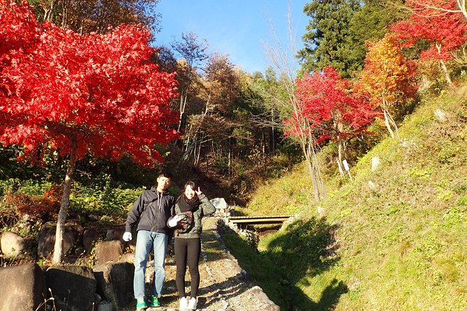 Private-group Morning Cycling Tour in Hida-Furukawa - Rice fields, folk houses, and mountain views