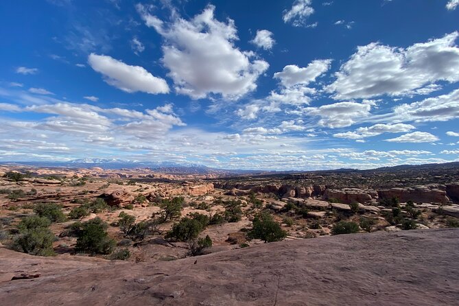 Private Half Day Guided Mountain Bike Tour in Moab - Is $230 per person a fair price?