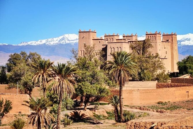 Private half-day mountain bike tour discover Palmeraie Skoura - Starting at Skoura VTT Aventures