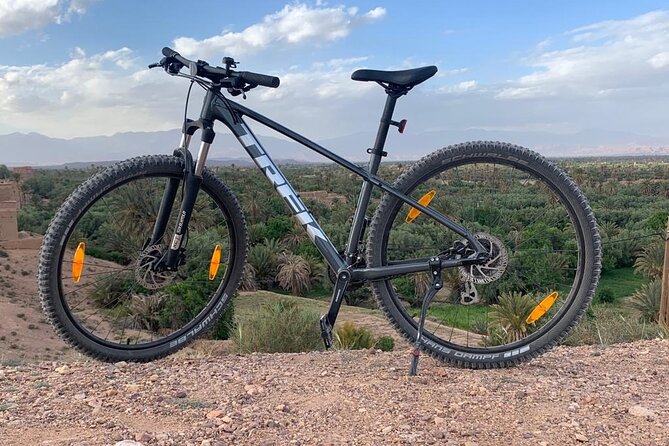 Private half-day mountain bike tour discover Palmeraie Skoura - The tea break and possible family meal