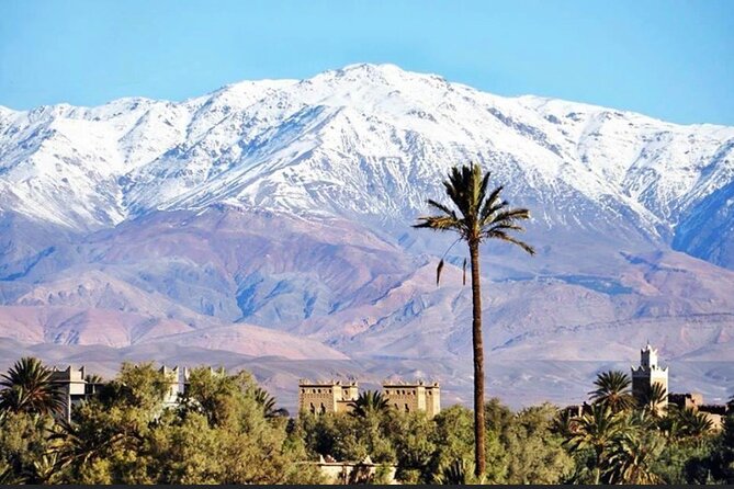 Private half-day mountain bike tour discover Palmeraie Skoura - Potters, weavers, and local cooperatives