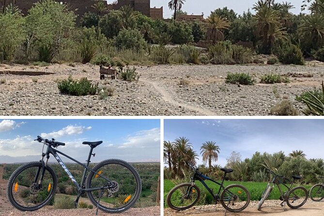 Private half-day mountain bike tour discover Palmeraie Skoura - Understanding Skoura’s irrigation system
