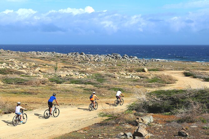 Private Mountain Bike Tour in Aruba - Key points to know before you book