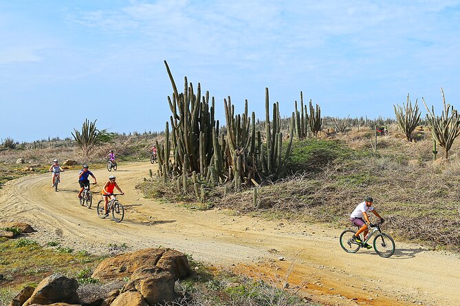 Private Mountain Bike Tour in Aruba - Riding into Aruba’s cactus country