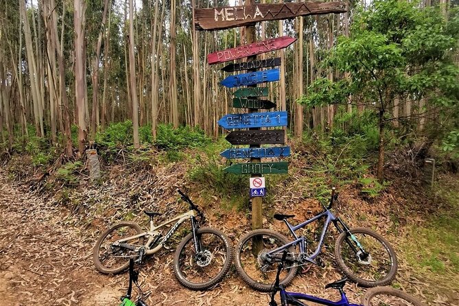 Private mountain bike tour in Lisbon/Sintra/Cascais - Starting in Colares with a proper bike setup
