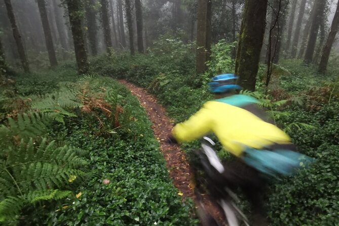 Private mountain bike tour in Lisbon/Sintra/Cascais - Fitness, difficulty, and who should book