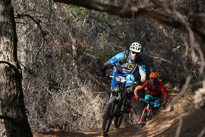 Private Mountain Bike,Trail Ride Tour of Mount Ymittos, Athens. - What beginners should know before booking