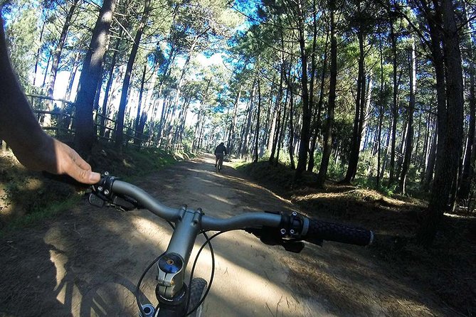 Private Mountain Biking Adventure in Sintra Cascais Park - Starting at Cascais Routes at 11:30