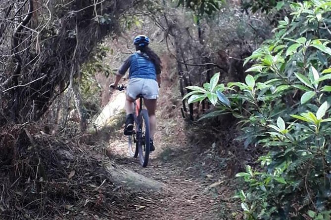 Private Mountain Biking Adventure in Sintra Cascais Park - The small-group advantage