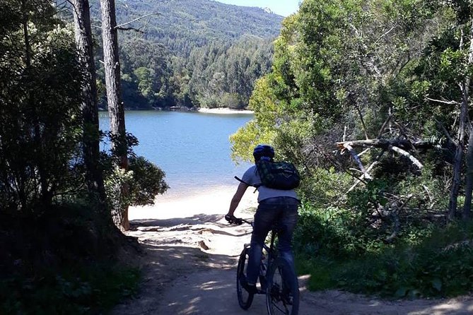 Private Mountain Biking Adventure in Sintra Cascais Park - Is $151.65 good value?