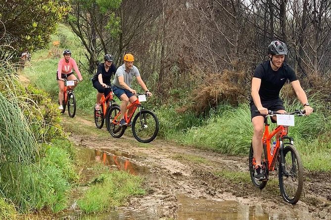 Private Mountain Biking Adventure in Sintra Cascais Park - Who will enjoy this ride most