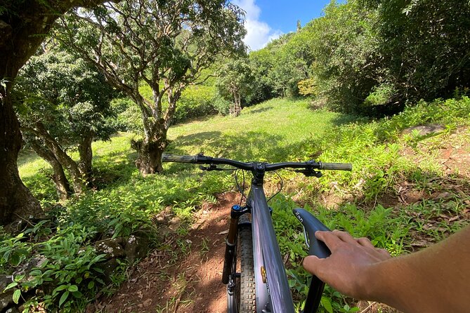 Private Mountain Biking Experience in the Wild South of Mauritius - What happens during the three-hour session