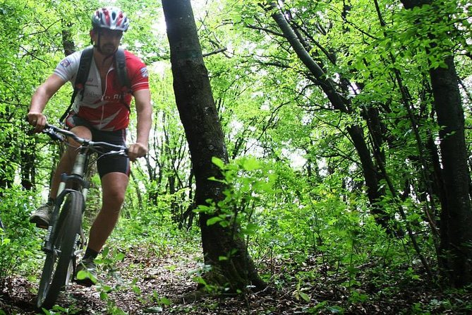 Private Mountain Biking in Vitosha from Sofia - Views toward Rila Mountain