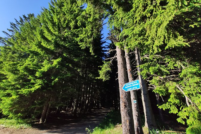 Private Mountain Biking in Vitosha from Sofia - Four hours on Vitosha’s mountain trails