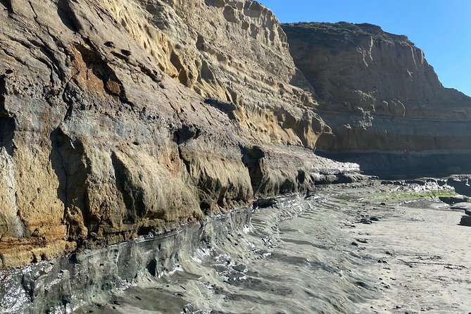 Private North County San Diego Electric Bike and Hike Tour - Fletcher Cove Park and a Local Family Stop