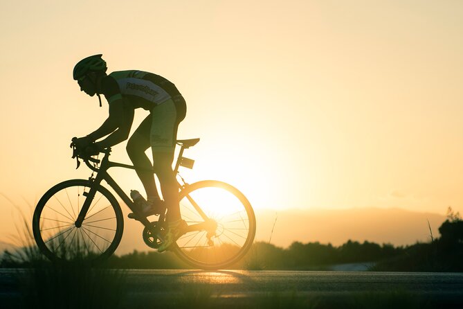 Private Road Cycling Guided Tour in Benalmádena - What the customer service tells you