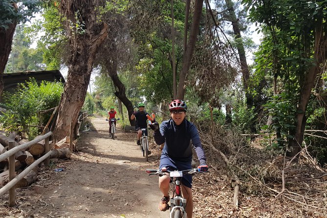 Private San Cristobal Hill Mountain Bike Tour - Mirador Bellavista Terraza and the Santiago panorama
