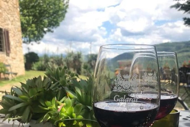 Private Self-Guided E-Bike Ride in Tuscany with Vineyard Visit - Country roads, forest, and olive groves