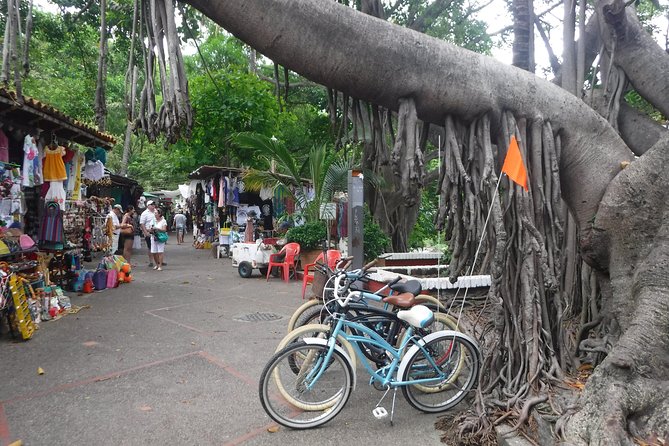 Private Tour in El Malecon Boardwalk Bike Ride - Isla Cuale: a green pause in the city