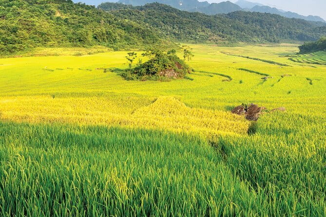Pu Luong 3-Day Adventure: Trekking, Cycling & Local Cooking Class - Pu Luong in three days, not three rushed hours