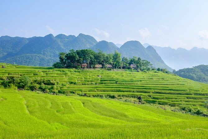 Pu Luong 3-Day Adventure: Trekking, Cycling & Local Cooking Class - Day three: bamboo bridges, Chieng Ai, and Cham Stream
