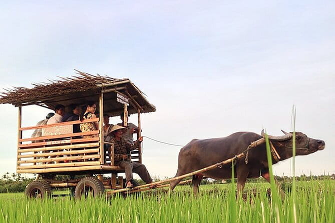 Pu Luong 3-Day Adventure: Trekking, Cycling & Local Cooking Class - Day two: Lan Village silk, waterfall water, and Thai traditions