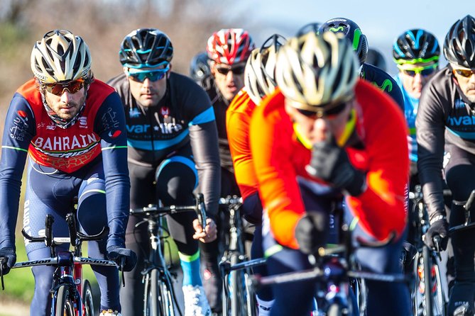 Pure Cycling Experience - Road Bike - Getting set up with the right bike