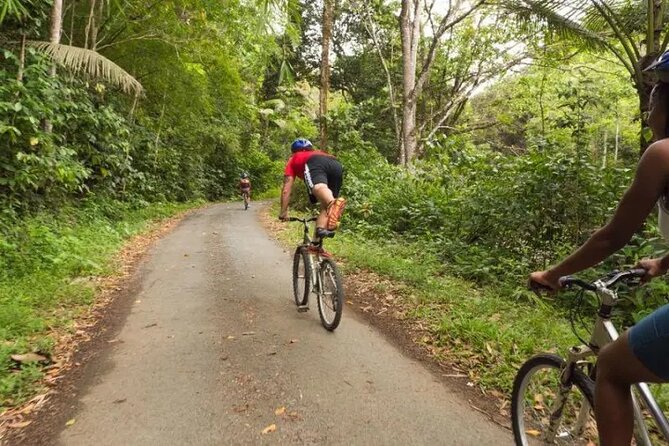 Rainforest Cycling Adventure in St. Lucia - The east-coast ride sets the tone