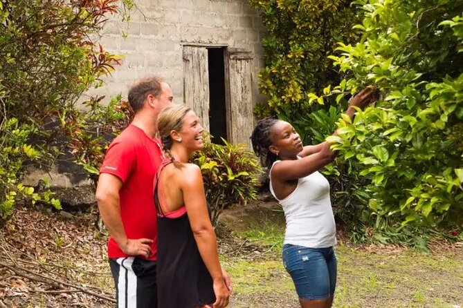 Rainforest Cycling Adventure in St. Lucia - The hills make this a workout