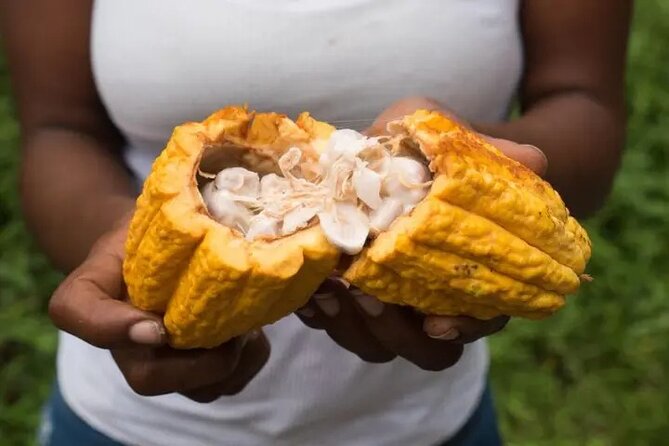 Rainforest Cycling Adventure in St. Lucia - The return is easier, but not effortless