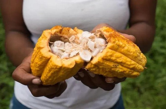 Rainforest Cycling Adventure in St. Lucia - What the $66.67 price buys you