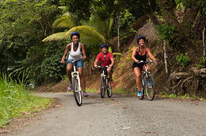 Rainforest Cycling Adventure in St. Lucia - Who should book this ride?