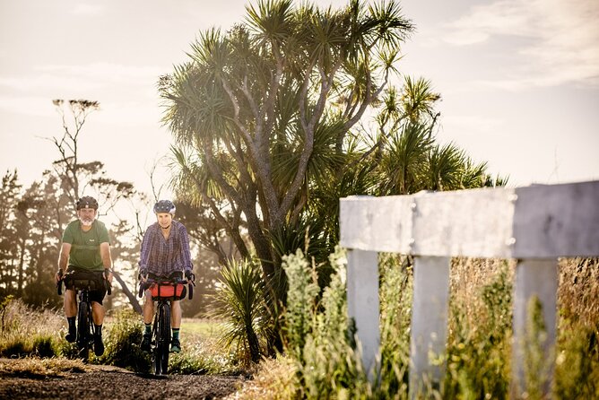 Remutaka Rail Trail eBike Explorer Cycle Tour - The descent to Cross Creek needs careful riding