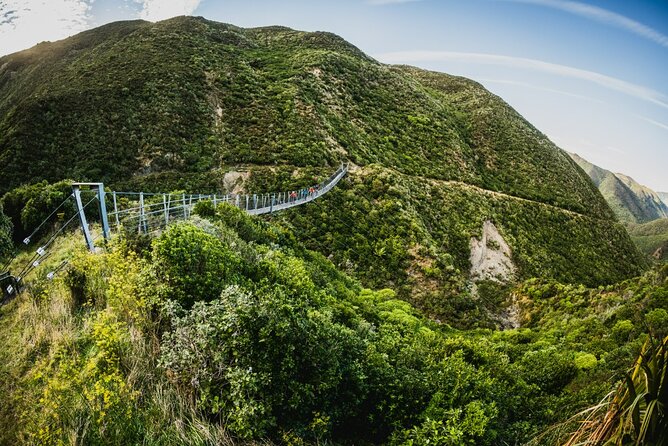 Remutaka Rail Trail Mountain Bike Explorer Cycle Tour - Key points to know before you book