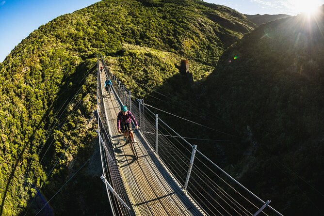 Remutaka Rail Trail Mountain Bike Explorer Cycle Tour - Tunnels, bridges, and the summit picnic