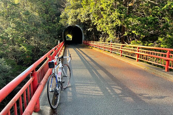Rent a Road Bike to Explore Kyoto and Beyond - Picking up your bike in Fushimi at 9:00 am